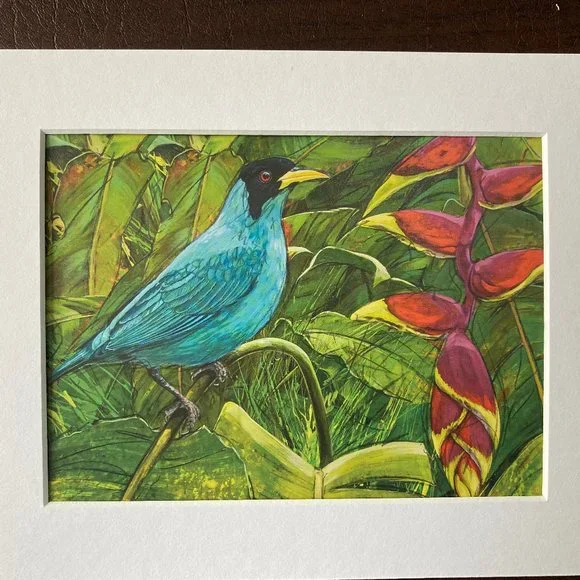 8x10" Cololmbia Cafe Quindio Art Print (w/mat): Green Honeyeater Bird - HOME - Picture 2 of 6